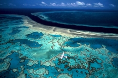 Австралия может потерять $1 млрд. в год из-за обесцвечивания кораллов